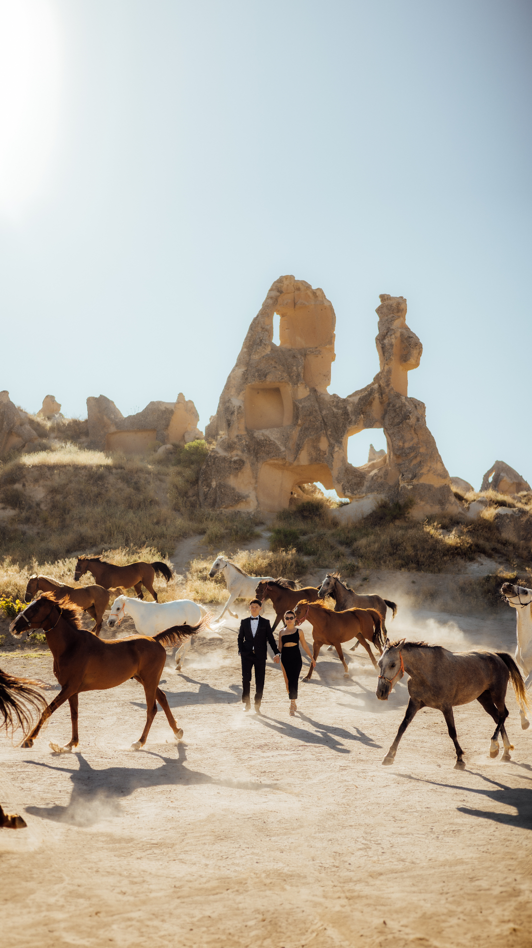 Running Horses
